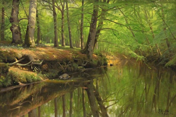 Sunny trees with rocks along the stream by Peter Mork Monsted